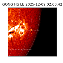 gong - 2025-12-09T02:00:42