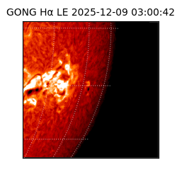 gong - 2025-12-09T03:00:42