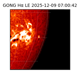 gong - 2025-12-09T07:00:42