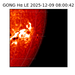 gong - 2025-12-09T08:00:42