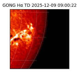 gong - 2025-12-09T09:00:22