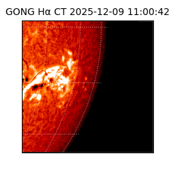 gong - 2025-12-09T11:00:42