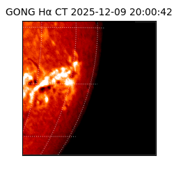 gong - 2025-12-09T20:00:42