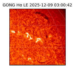 gong - 2025-12-09T03:00:42