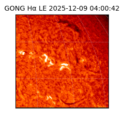 gong - 2025-12-09T04:00:42