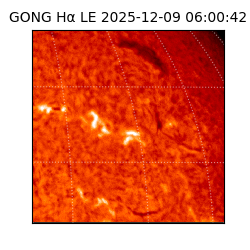 gong - 2025-12-09T06:00:42