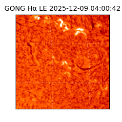 gong - 2025-12-09T04:00:42