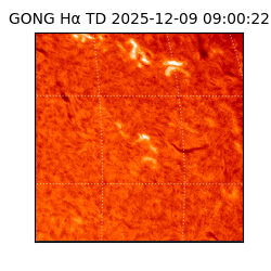 gong - 2025-12-09T09:00:22