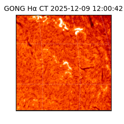 gong - 2025-12-09T12:00:42