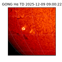 gong - 2025-12-09T09:00:22
