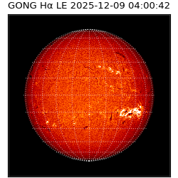 gong - 2025-12-09T04:00:42