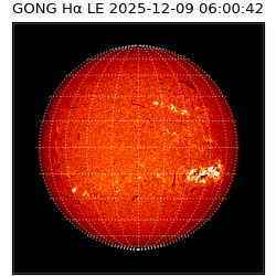 gong - 2025-12-09T06:00:42