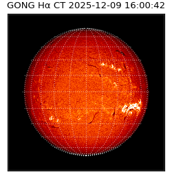 gong - 2025-12-09T16:00:42
