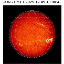 gong - 2025-12-09T19:00:42