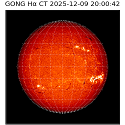 gong - 2025-12-09T20:00:42