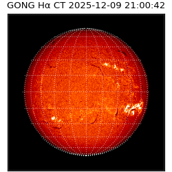 gong - 2025-12-09T21:00:42
