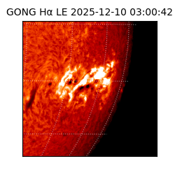 gong - 2025-12-10T03:00:42