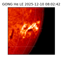 gong - 2025-12-10T08:02:42