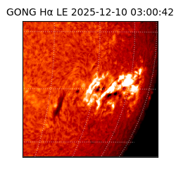 gong - 2025-12-10T03:00:42