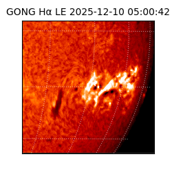 gong - 2025-12-10T05:00:42