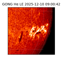 gong - 2025-12-10T09:00:42