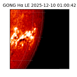 gong - 2025-12-10T01:00:42