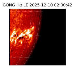 gong - 2025-12-10T02:00:42