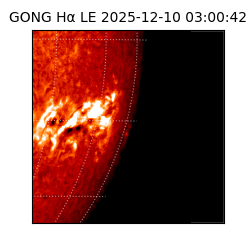 gong - 2025-12-10T03:00:42