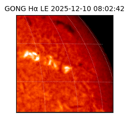 gong - 2025-12-10T08:02:42