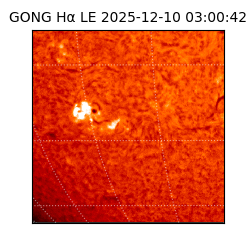 gong - 2025-12-10T03:00:42