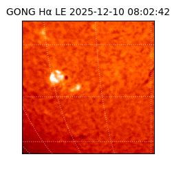 gong - 2025-12-10T08:02:42