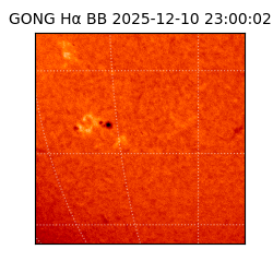 gong - 2025-12-10T23:00:02