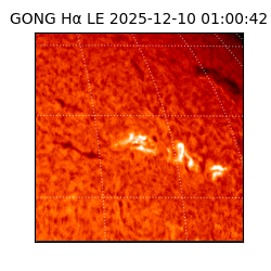 gong - 2025-12-10T01:00:42