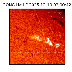 gong - 2025-12-10T03:00:42