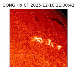 gong - 2025-12-10T11:00:42