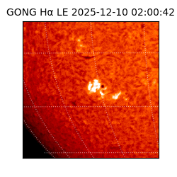 gong - 2025-12-10T02:00:42
