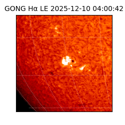 gong - 2025-12-10T04:00:42