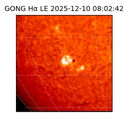 gong - 2025-12-10T08:02:42