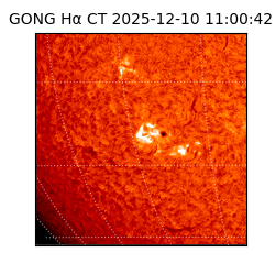 gong - 2025-12-10T11:00:42