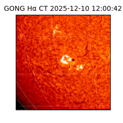 gong - 2025-12-10T12:00:42