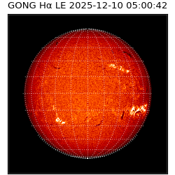 gong - 2025-12-10T05:00:42