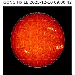 gong - 2025-12-10T09:00:42