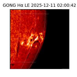 gong - 2025-12-11T02:00:42