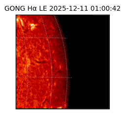 gong - 2025-12-11T01:00:42