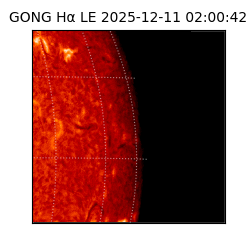 gong - 2025-12-11T02:00:42