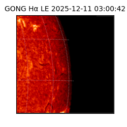 gong - 2025-12-11T03:00:42