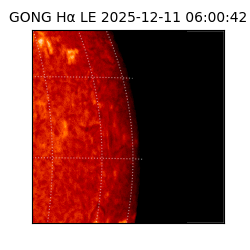 gong - 2025-12-11T06:00:42