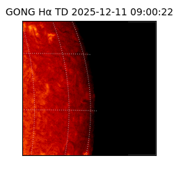 gong - 2025-12-11T09:00:22