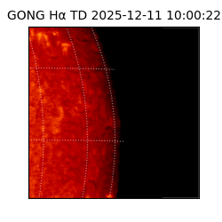 gong - 2025-12-11T10:00:22
