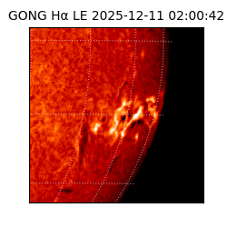 gong - 2025-12-11T02:00:42